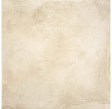 Wand- en vloertegel Jasper beige 60x60 cm gerectificeerd