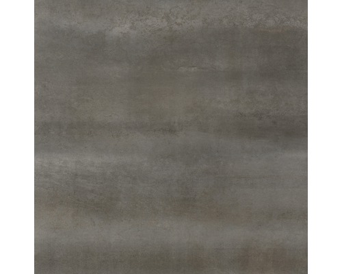 Wand- en vloertegel Jerry iron 60x60 cm gerectificeerd
