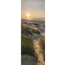 Duinlandschap aan het strand bij zonsondergang.
