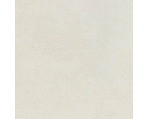Wand- en Vloertegel Bologna ivoor 20x20 cm gerectificeerd
