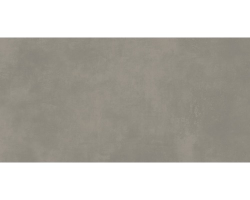Wand- en Vloertegel Bologna taupe 60x120 cm gerectificeerd