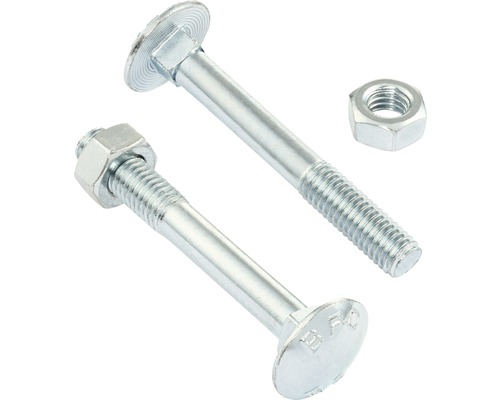REYHER Slotbout met moer 5x50 mm DIN 603 galv. verzinkt, 100 stuks Twee slotbouten met moeren