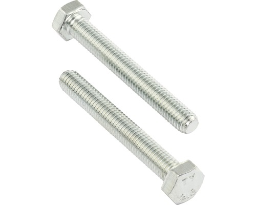 REYHER Tapbout zeskant 8x20 mm DIN 931 galv. verzinkt, 100 stuks Twee zeskantbouten