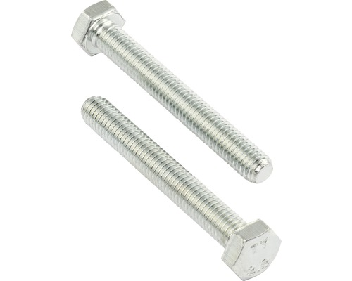 REYHER Tapbout zeskant 8x30 mm DIN 931 galv. verzinkt, 100 stuks