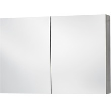 Spiegelkast met twee deuren