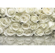 Close-up van witte rozen met waterdruppels