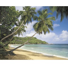 Tropisch strand met palmbomen en blauwe lucht