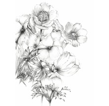 Zwart-witte potloodtekening van bloemen