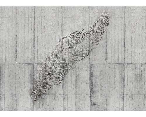 KOMAR Fotobehang vlies X7-1023 Concrete Feather 350x250 cm