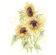 Aquarelschilderij van zonnebloemen met stengel en bladeren
