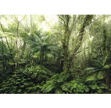 Dichte jungle met weelderige vegetatie, bomen en varens