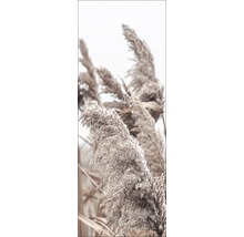 Close-up van rietgras