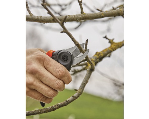 Een persoon snoeit een tak met een snoeischaar.