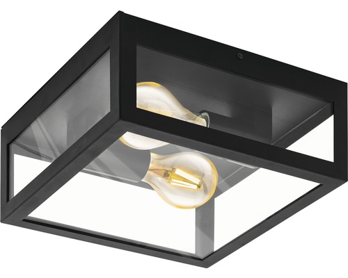 Zwarte plafondlamp met twee lampen en glazen inzetstuk