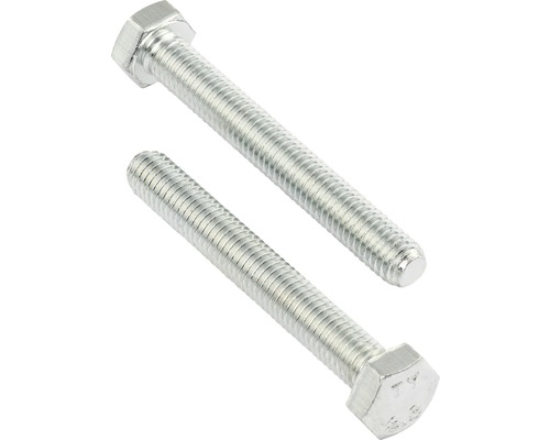 REYHER Tapbout zeskant 5x40 mm DIN 931 galv. verzinkt, 100 stuks Twee zeskantbouten