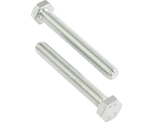 REYHER Tapbout zeskant 5x40 mm DIN 931 galv. verzinkt, 100 stuks