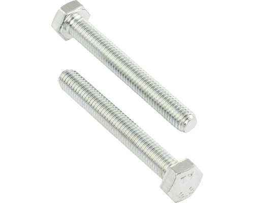 REYHER Tapbout zeskant 12x50 mm DIN 931 galv. verzinkt, 50 stuks Twee metalen zeskantbouten