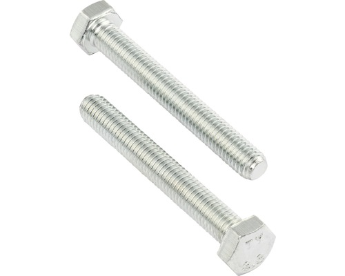 REYHER Tapbout zeskant 12x50 mm DIN 931 galv. verzinkt, 50 stuks