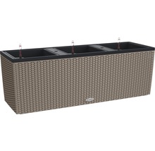 Langwerpige plantenbak met irrigatiesysteem en rotanlook.