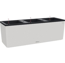 Plantenbak met irrigatiesysteem