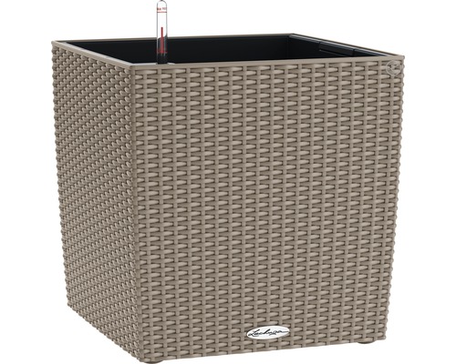 LECHUZA All-in-One Set Plantenbak Cube Kunststof Beige 50 cm x 50 cm x 50 cm Vierkante plantenbak met irrigatiesysteem en Lechuza logo