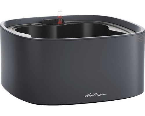 LECHUZA All-in-One Set Bloempot Color Pila Kunststof grijs Ø 35 cm H 16,6 cm Lechuza Cube plantenbak met irrigatiesysteem