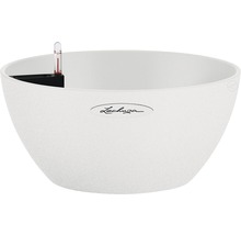LECHUZA All-in-One Set Plantenschaal Stone Cubeto Kunststof wit Ø 29,8 cm H 13,5 cm