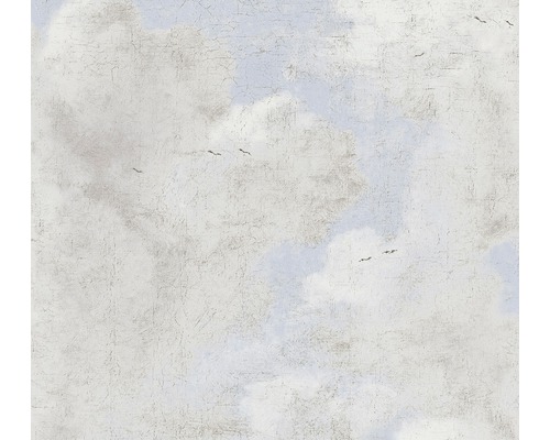 A.S. CRÉATION Vliesbehang 37649-3 History of Art abstract grijs Behang met wolkenpatroon