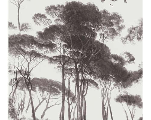 A.S. CRÉATION Vliesbehang 37651-1 History of Art natuur grijs Behang met boomlandschapmotief