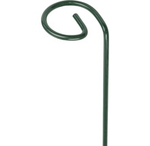 FLORASELF Plantenhouder groen Ø 7 cm H 90 cm