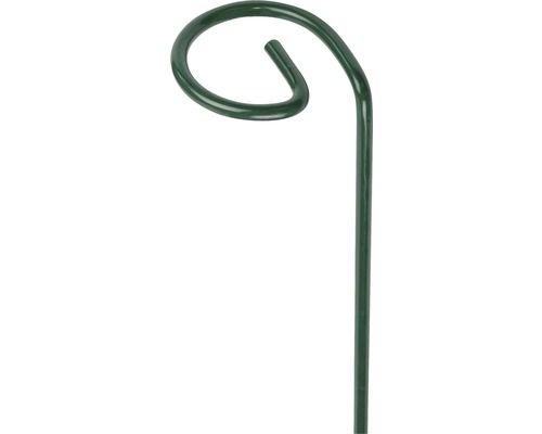 FLORASELF Plantenhouder groen Ø 7 cm H 90 cm