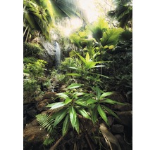 Dichte jungle met waterval, rotsen en weelderige vegetatie