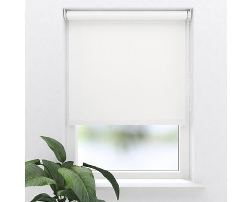 Raam met neergelaten rolgordijn