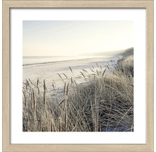 Ingelijste afbeelding met strand en gras op de voorgrond