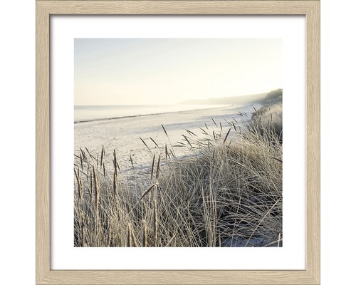 Ingelijste afbeelding met strand en gras op de voorgrond