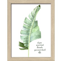 Ingelijste afbeelding met een blad en de quote: Als je nooit vrienden hebt gehad, heb je nooit geleefd.