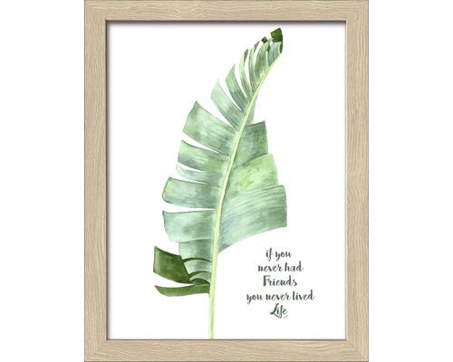 Ingelijste afbeelding met een blad en de quote: Als je nooit vrienden hebt gehad, heb je nooit geleefd.