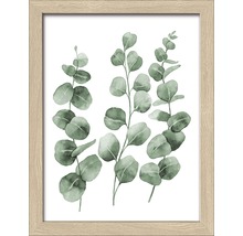 Ingelijste afbeelding met eucalyptusmotief