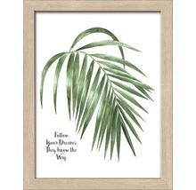 Ingelijste afbeelding met palmbladmotief en de tekst 'Follow Your Dreams, They Know the Way'.