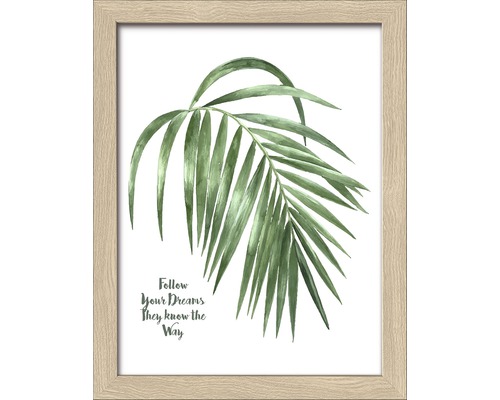 Ingelijste afbeelding met palmbladmotief en de tekst 'Follow Your Dreams, They Know the Way'.