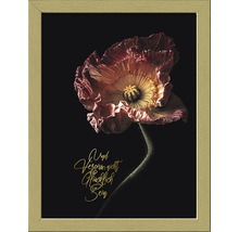 Ingelijste muurafbeelding met een papaver en de tekst Vergeet niet gelukkig te zijn