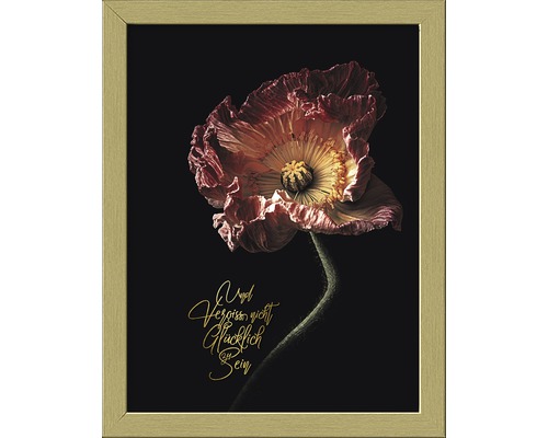 Ingelijste muurafbeelding met een papaver en de tekst Vergeet niet gelukkig te zijn