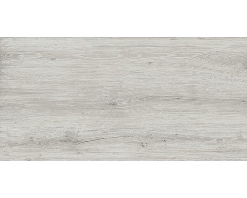 Wand- en vloertegel Count lichtgrijs 60x120 cm gerectificeerd Wand- en vloertegel Count lichtgrijs 60x120 cm gerectificeerd