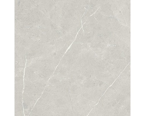 Wand- en vloertegel Always Pearl Natural grijs 60x60 cm gerectificeerd