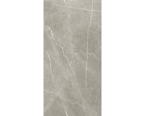 Grijze tegel met marmerstructuur