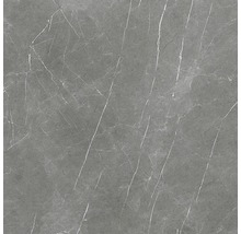 Wand- en vloertegel Always Dark Pulido grijs 120x120 cm gerectificeerd