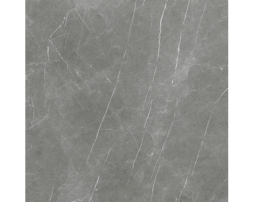 Wand- en vloertegel Always Dark Pulido grijs 120x120 cm gerectificeerd Wand- en vloertegel Always Dark Pulido grijs 120x120 cm gerectificeerd