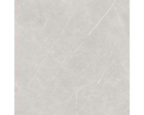 Wand- en vloertegel Always Pearl Natural grijs 120x120 cm gerectificeerd