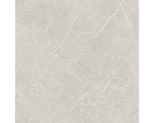Wand- en vloertegel Always Pearl Natural grijs 120x120 cm gerectificeerd Wand- en vloertegel Always Pearl Natural grijs 120x120 cm gerectificeerd