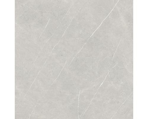 Wand- en vloertegel Always Pearl Pulido grijs 120x120 cm gerectificeerd